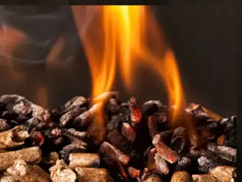 fournisseur de pellets de bois Châteaubourg-5