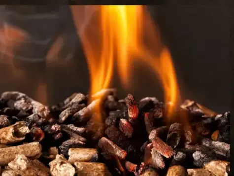 fournisseur de pellets de bois à Dinard - image 2