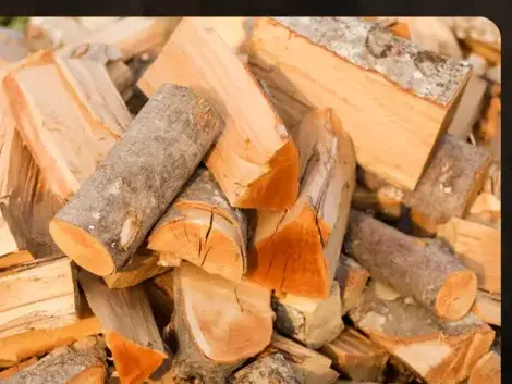 fournisseur de pellets de bois Dinard-5