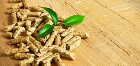 fournisseur de pellets de bois à Fougères - image 3