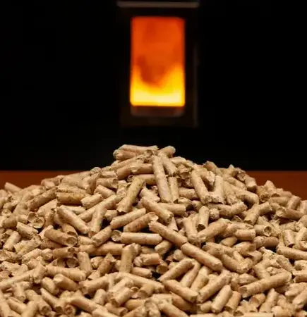 fournisseur de pellets de bois à Janzé - image 3