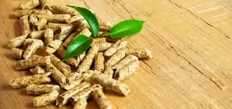 fournisseur de pellets de bois à Saint-Malo - image 2