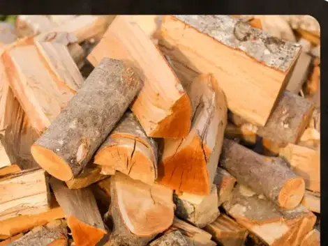 livraison bois de chauffage à Bain-de-Bretagne - image 2