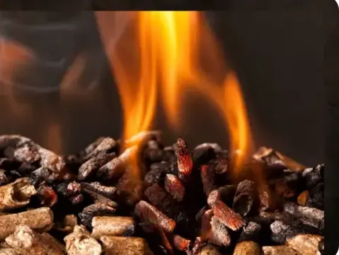 livraison bois de chauffage à Bain-de-Bretagne - image 4