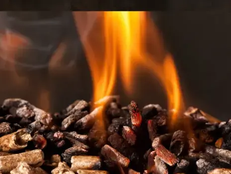 livraison bois de chauffage à Betton - image 3