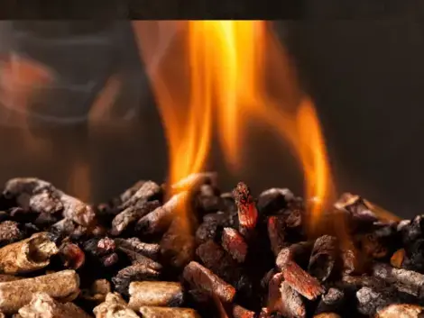 livraison bois de chauffage Cesson-Sévigné-5