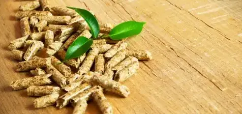 livraison bois de chauffage Châteaubourg-5