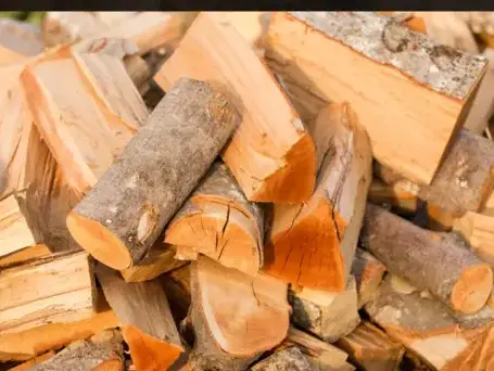 livraison bois de chauffage Dinan-5