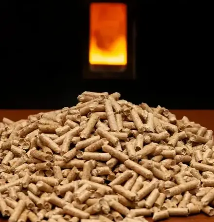 livraison bois de chauffage à Dinard - image 2