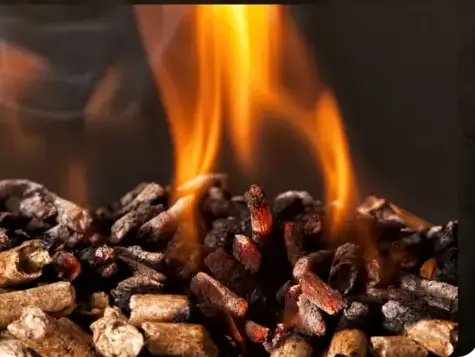 livraison bois de chauffage à Dinard - image 4