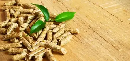 livraison bois de chauffage Dinard-5