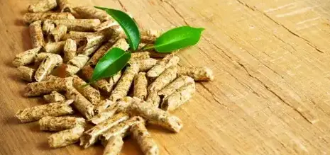 livraison bois de chauffage à Fougères - image 2