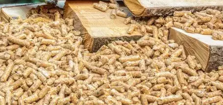 livraison bois de chauffage à Fougères - image 3