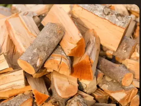 livraison bois de chauffage Fougères-5