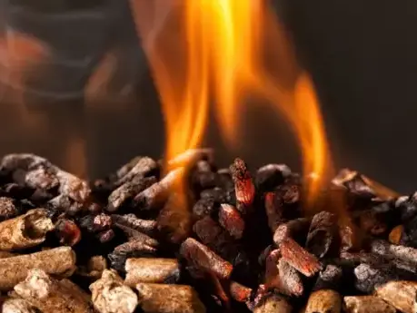 livraison bois de chauffage Janzé-1