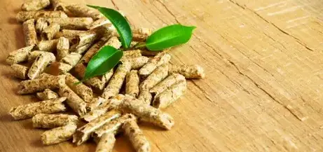 livraison bois de chauffage à Janzé - image 2