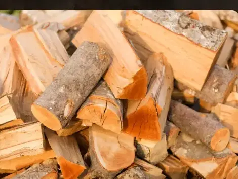 livraison bois de chauffage à Janzé - image 3