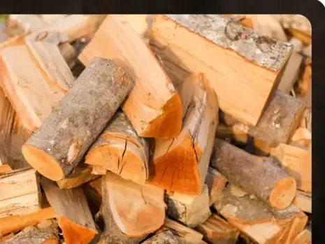 livraison bois de chauffage à Rennes - image 3