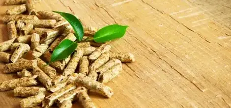 livraison bois de chauffage à Rennes - image 4