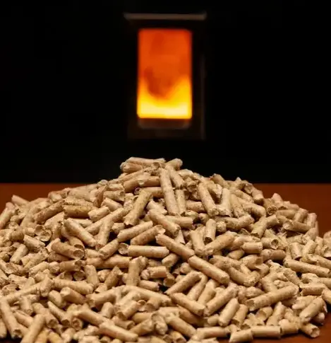 livraison bois de chauffage Rennes-5