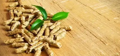 livraison bois de chauffage à Saint-Malo - image 2