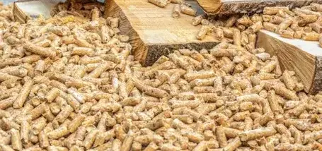 livraison bois de chauffage à Saint-Malo - image 4