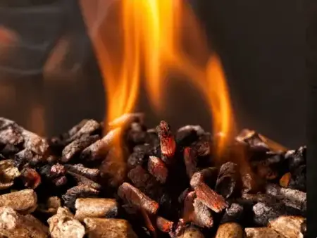 livraison bois de chauffage Saint-Malo-5