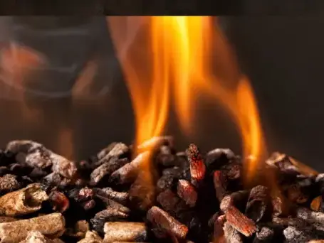 palette de bois de chauffage à Bain-de-Bretagne - image 4