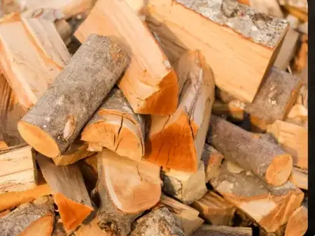 palette de bois de chauffage Bain-de-Bretagne-5