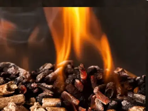 palette de bois de chauffage Betton-1