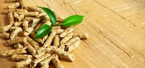 palette de bois de chauffage à Betton - image 2