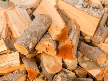 palette de bois de chauffage à Betton - image 3