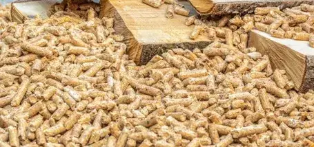 palette de bois de chauffage Betton-5