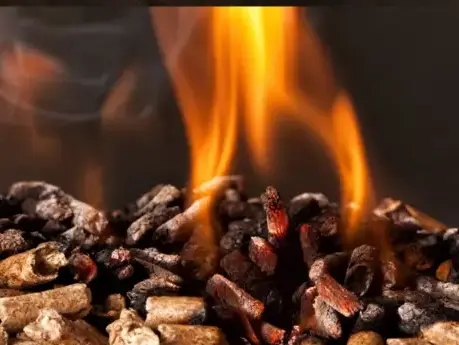 palette de bois de chauffage Cesson-Sévigné-1