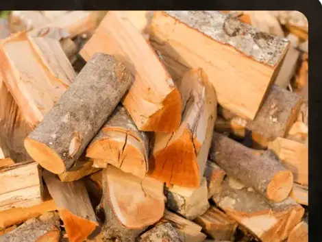 palette de bois de chauffage à Cesson-Sévigné - image 2