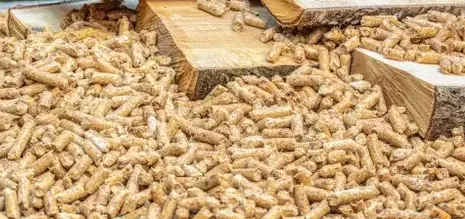 palette de bois de chauffage à Cesson-Sévigné - image 3