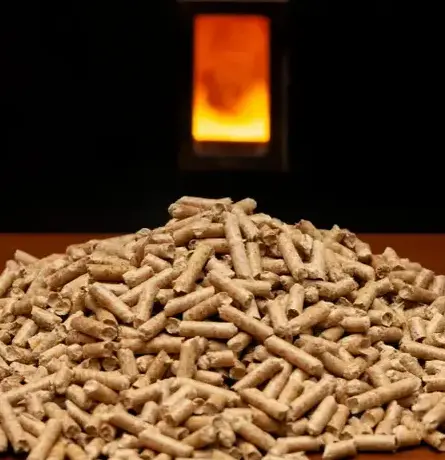 palette de bois de chauffage à Châteaubourg - image 2