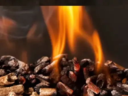 palette de bois de chauffage à Châteaubourg - image 3