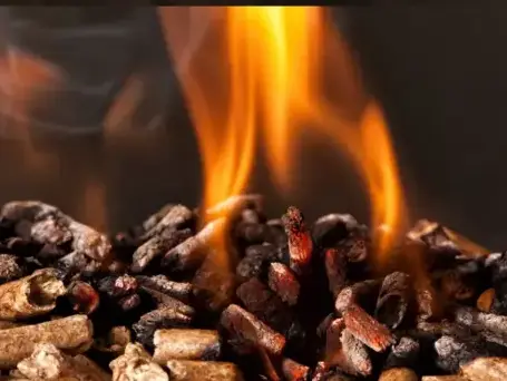 palette de bois de chauffage à Dinan - image 2