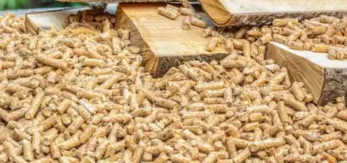 palette de bois de chauffage à Dinan - image 3