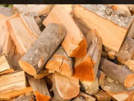 palette de bois de chauffage Dinard-1