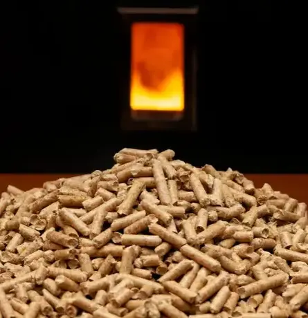 palette de bois de chauffage à Dinard - image 2