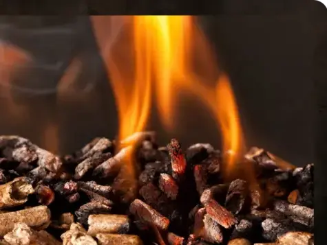 palette de bois de chauffage à Dinard - image 3