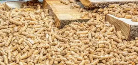 palette de bois de chauffage à Dinard - image 4