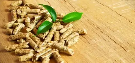 palette de bois de chauffage Dinard-5