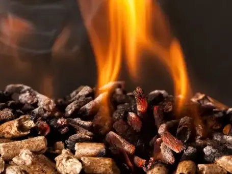 palette de bois de chauffage Fougères-1