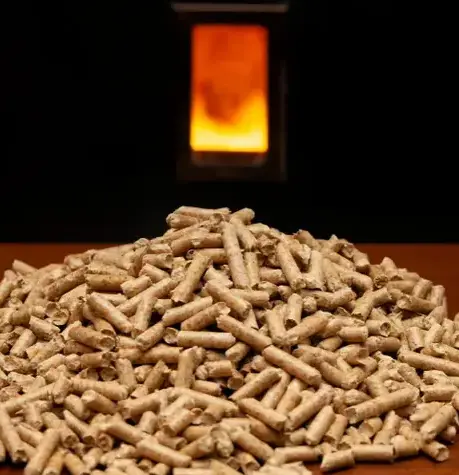 palette de bois de chauffage à Fougères - image 2