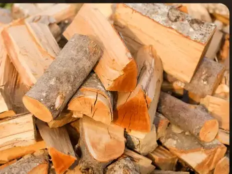 palette de bois de chauffage à Fougères - image 3