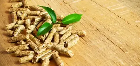 palette de bois de chauffage à Fougères - image 4