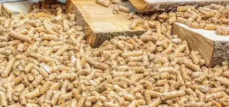 palette de bois de chauffage Fougères-5